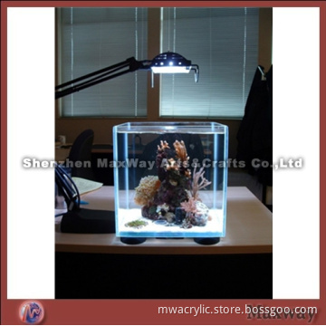 Small Lighting Aquarium